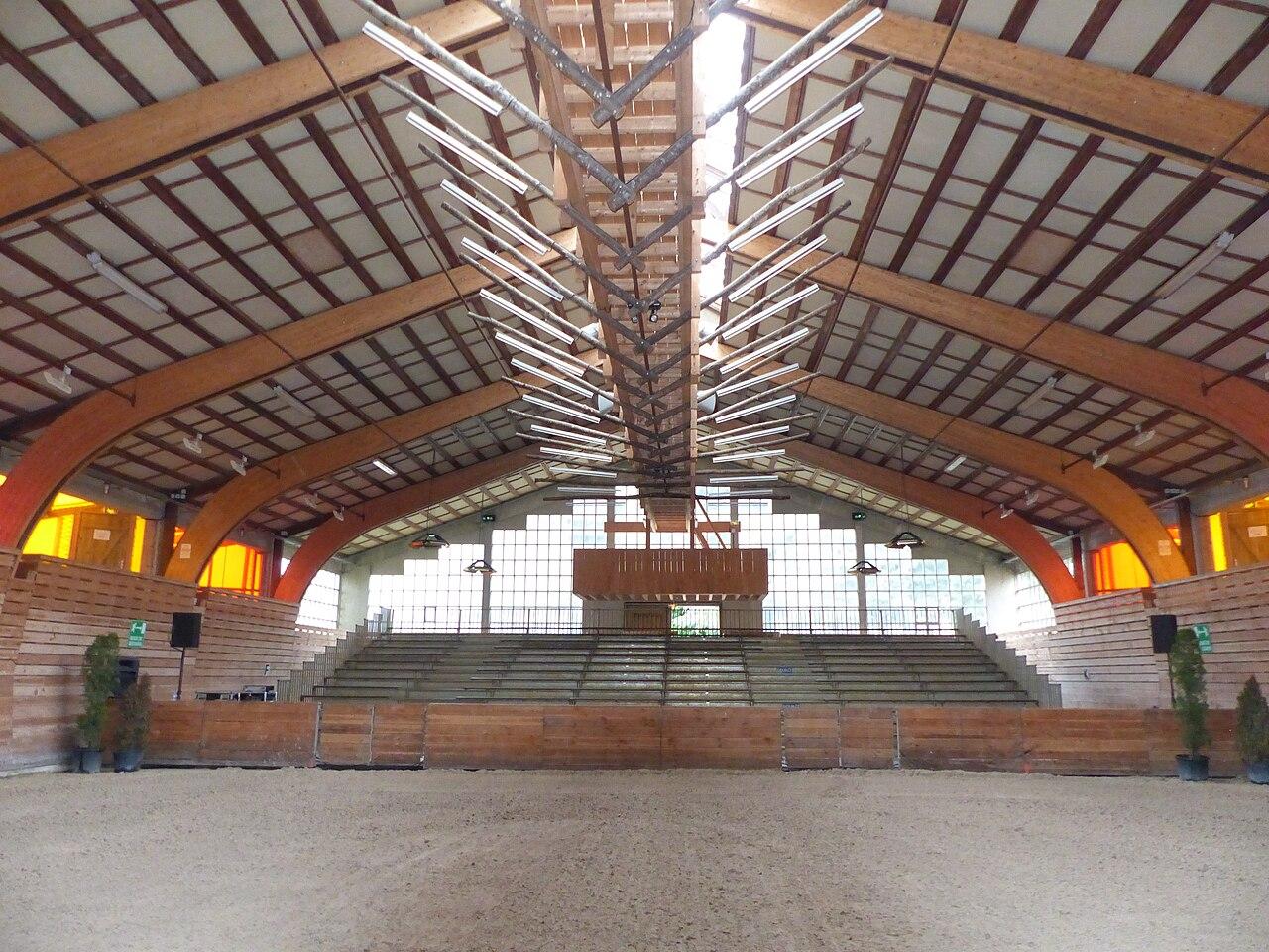 马术心理课:如何在关键时刻稳住(职业联赛视角)